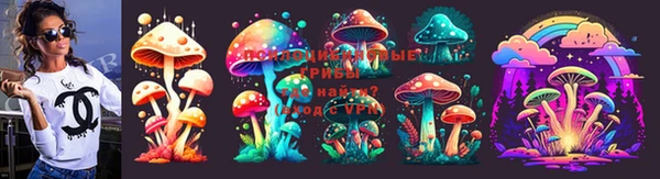 прущие крисы Арсеньев