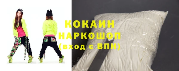 сатива Ростов