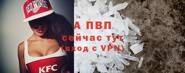 прущие крисы Арсеньев